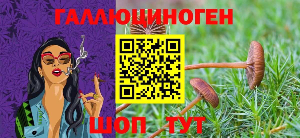 ГЕРОИН Кызыл